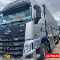 Chenglong 4 chân 2021