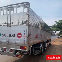Hino 3 chân 2019 thùng 9,4m